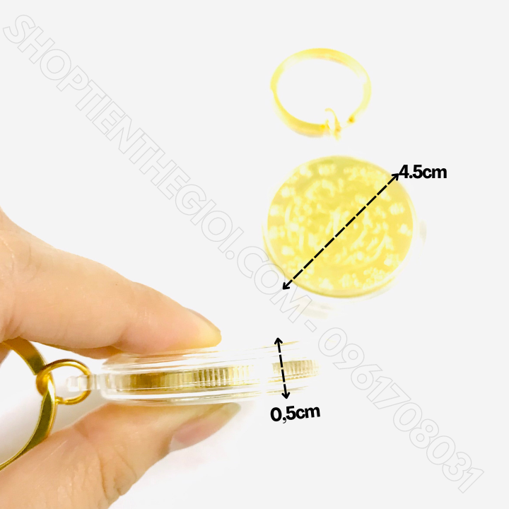 Móc Khóa Xu Tỳ Hưu mạ vàng in màu - SP005939